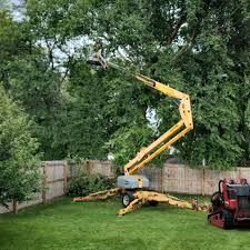 Best Lawn Grading and Leveling  in Rangely, CO
